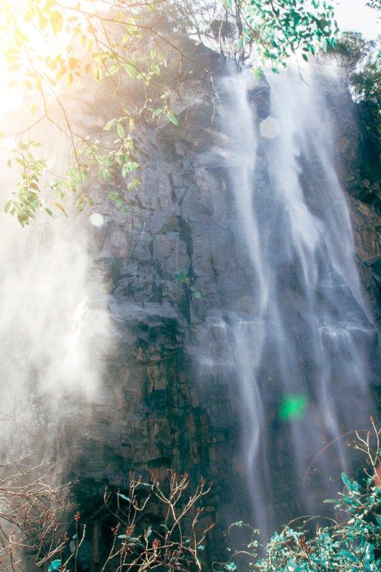 游船、购物、赏花灯……惠州这条街“行运一条龙”